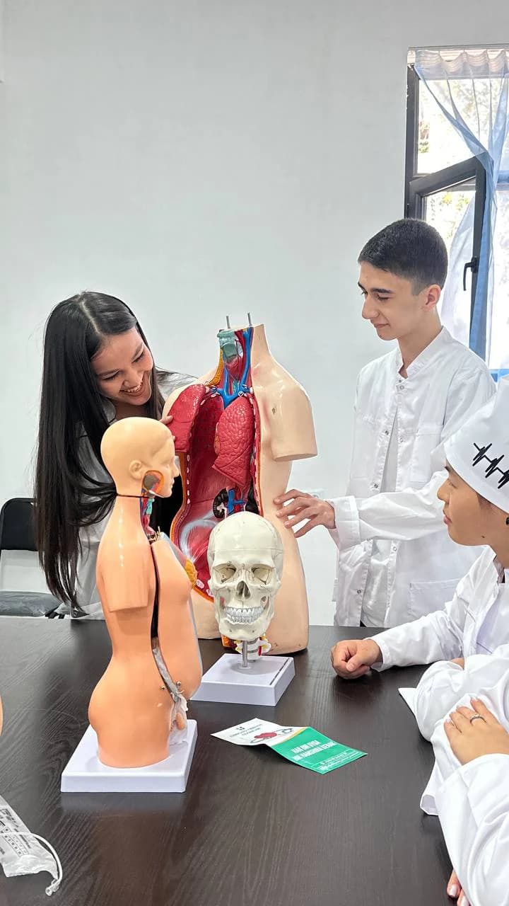 Talabalar anatomik modellar bilan ishlamoqda